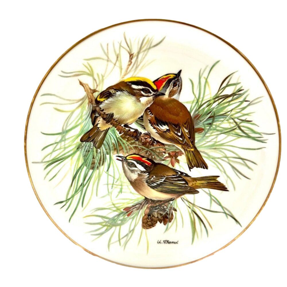 Europäische Singvögel von Ursula Band, Sommergoldhähnchen/Firecrest PLATE w/ COA